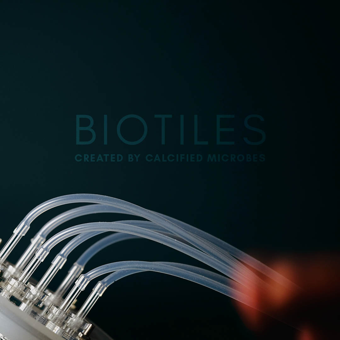 BioTiles