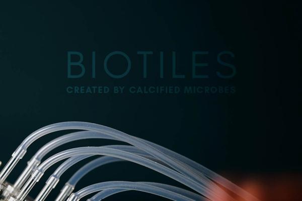 BioTiles